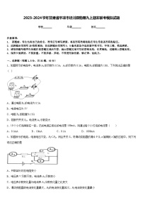 2023-2024学年甘肃省平凉市泾川县物理九上期末联考模拟试题含答案