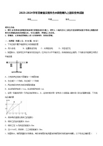 2023-2024学年甘肃省庆阳市合水县物理九上期末统考试题含答案