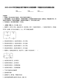 2023-2024学年甘肃省庆阳宁县联考九年级物理第一学期期末质量检测模拟试题含答案