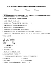 2023-2024学年甘肃省武威市民勤县九年级物理第一学期期末考试试题含答案