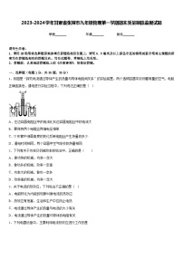 2023-2024学年甘肃省张掖市九年级物理第一学期期末质量跟踪监视试题含答案