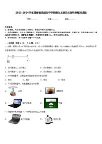 2023-2024学年甘肃省武威五中学物理九上期末达标检测模拟试题含答案