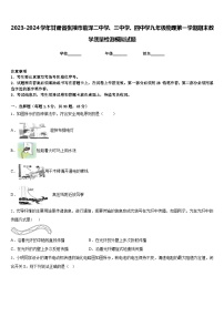 2023-2024学年甘肃省张掖市临泽二中学、三中学、四中学九年级物理第一学期期末教学质量检测模拟试题含答案