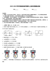 2023-2024学年甘肃省武威市物理九上期末经典模拟试题含答案