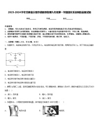 2023-2024学年甘肃省庆阳市镇原县物理九年级第一学期期末质量跟踪监视试题含答案