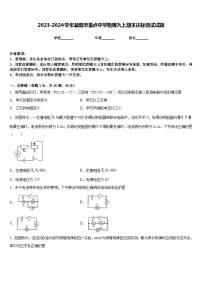 2023-2024学年益阳市重点中学物理九上期末达标测试试题含答案