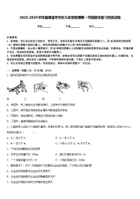 2023-2024学年福建省各市区九年级物理第一学期期末复习检测试题含答案