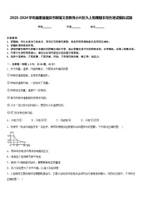 2023-2024学年福建省南安市柳城义务教育小片区九上物理期末综合测试模拟试题含答案