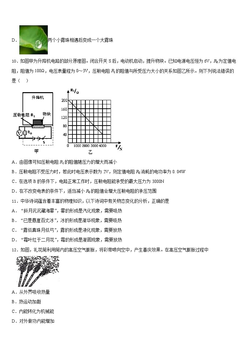 2023-2024学年福建省泉州市石狮市九年级物理第一学期期末统考试题含答案第3页
