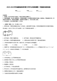 2023-2024学年福建省泉州市第八中学九年级物理第一学期期末调研试题含答案