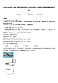 2023-2024学年福建省泉州永春县联考九年级物理第一学期期末质量跟踪监视模拟试题含答案