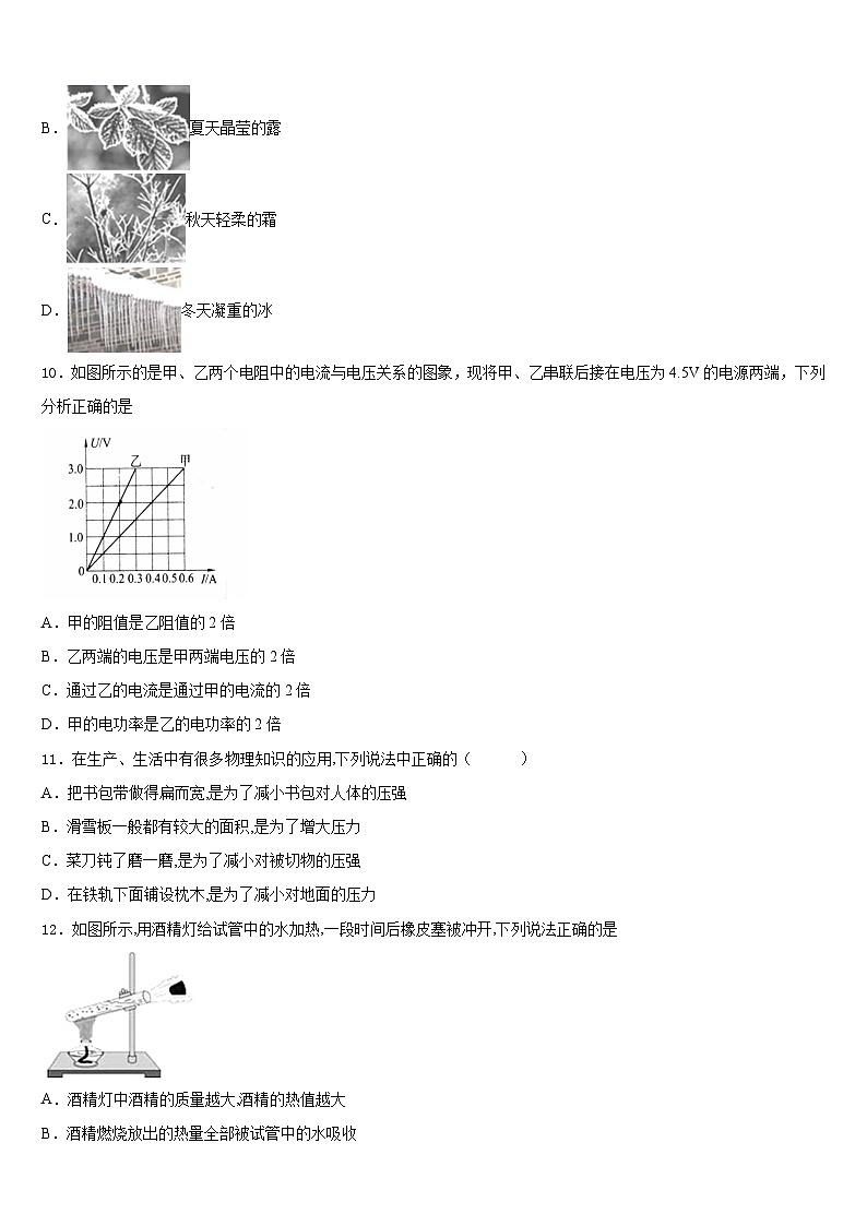 2023-2024学年福建省仙游县物理九上期末教学质量检测模拟试题含答案第3页