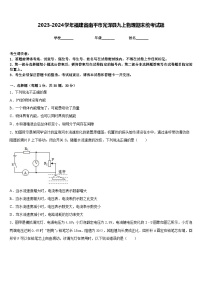 2023-2024学年福建省南平市光泽县九上物理期末统考试题含答案