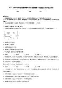 2023-2024学年福建省漳州市九年级物理第一学期期末达标测试试题含答案