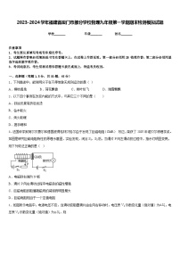 2023-2024学年福建省厦门市部分学校物理九年级第一学期期末检测模拟试题含答案