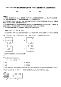 2023-2024学年福建省漳州市龙海市第二中学九上物理期末复习检测模拟试题含答案