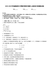 2023-2024学年福建省师大平潭附中教研片物理九上期末复习检测模拟试题含答案