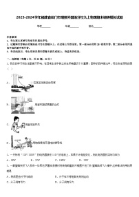 2023-2024学年福建省厦门市瑞景外国语分校九上物理期末调研模拟试题含答案