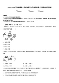 2023-2024学年福建省宁化城东中学九年级物理第一学期期末检测试题含答案