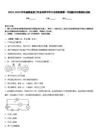 2023-2024学年福建省夏门市金鸡亭中学九年级物理第一学期期末经典模拟试题含答案