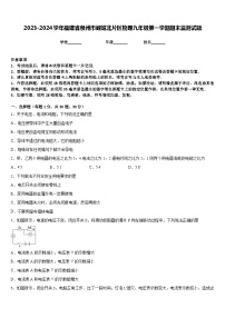 2023-2024学年福建省泉州市鲤城北片区物理九年级第一学期期末监测试题含答案