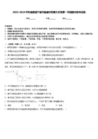 2023-2024学年福建省宁德市福鼎市物理九年级第一学期期末联考试题含答案