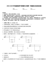 2023-2024学年福建省寿宁县物理九年级第一学期期末达标测试试题含答案