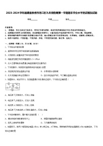 2023-2024学年福建省泉州市洛江区九年级物理第一学期期末学业水平测试模拟试题含答案