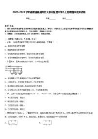 2023-2024学年福建省福州师范大泉州附属中学九上物理期末统考试题含答案