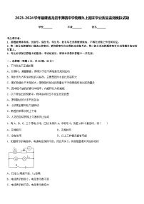 2023-2024学年福建省龙岩市第四中学物理九上期末学业质量监测模拟试题含答案