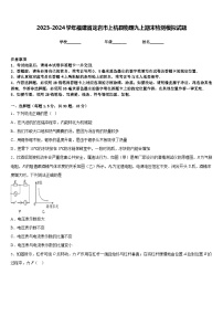 2023-2024学年福建省龙岩市上杭县物理九上期末检测模拟试题含答案