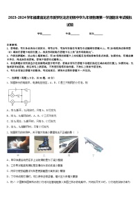 2023-2024学年福建省龙岩市新罗区龙岩初级中学九年级物理第一学期期末考试模拟试题含答案