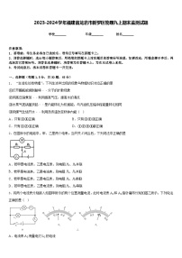 2023-2024学年福建省龙岩市新罗区物理九上期末监测试题含答案