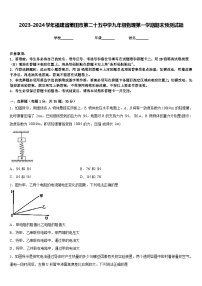 2023-2024学年福建省莆田市第二十五中学九年级物理第一学期期末预测试题含答案