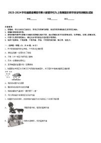 2023-2024学年福建省莆田市第六联盟学校九上物理期末教学质量检测模拟试题含答案