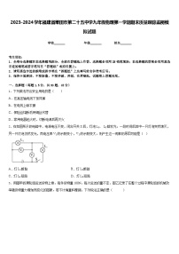 2023-2024学年福建省莆田市第二十五中学九年级物理第一学期期末质量跟踪监视模拟试题含答案