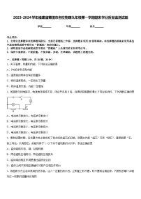 2023-2024学年福建省莆田市名校物理九年级第一学期期末学业质量监测试题含答案