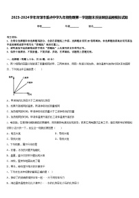 2023-2024学年菏泽市重点中学九年级物理第一学期期末质量跟踪监视模拟试题含答案