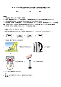 2023-2024学年茂名市重点中学物理九上期末联考模拟试题含答案