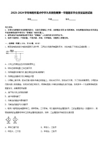 2023-2024学年绵阳市重点中学九年级物理第一学期期末学业质量监测试题含答案