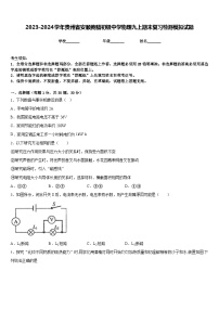 2023-2024学年贵州省安顺黄腊初级中学物理九上期末复习检测模拟试题含答案