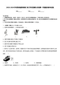 2023-2024学年贵州省贵州铜仁伟才学校物理九年级第一学期期末联考试题含答案