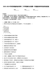 2023-2024学年贵州省凯里市第十二中学物理九年级第一学期期末教学质量检测试题含答案