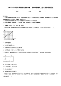 2023-2024学年贵州省六盘水市第二十中学物理九上期末达标检测试题含答案