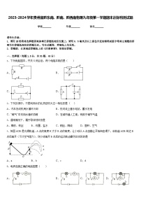 2023-2024学年贵州省黔东南、黔南、黔西南物理九年级第一学期期末达标检测试题含答案