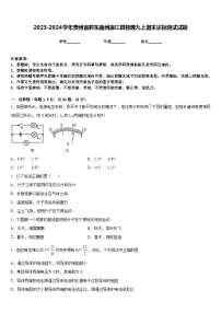 2023-2024学年贵州省黔东南州麻江县物理九上期末达标测试试题含答案