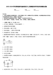 2023-2024学年贵州省黔东南州名校九上物理期末教学质量检测模拟试题含答案