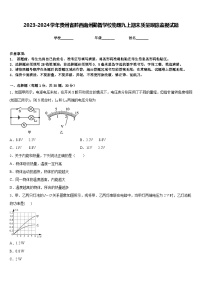 2023-2024学年贵州省黔西南州勤智学校物理九上期末质量跟踪监视试题含答案