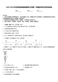 2023-2024学年贵州省黔西南州物理九年级第一学期期末教学质量检测试题含答案