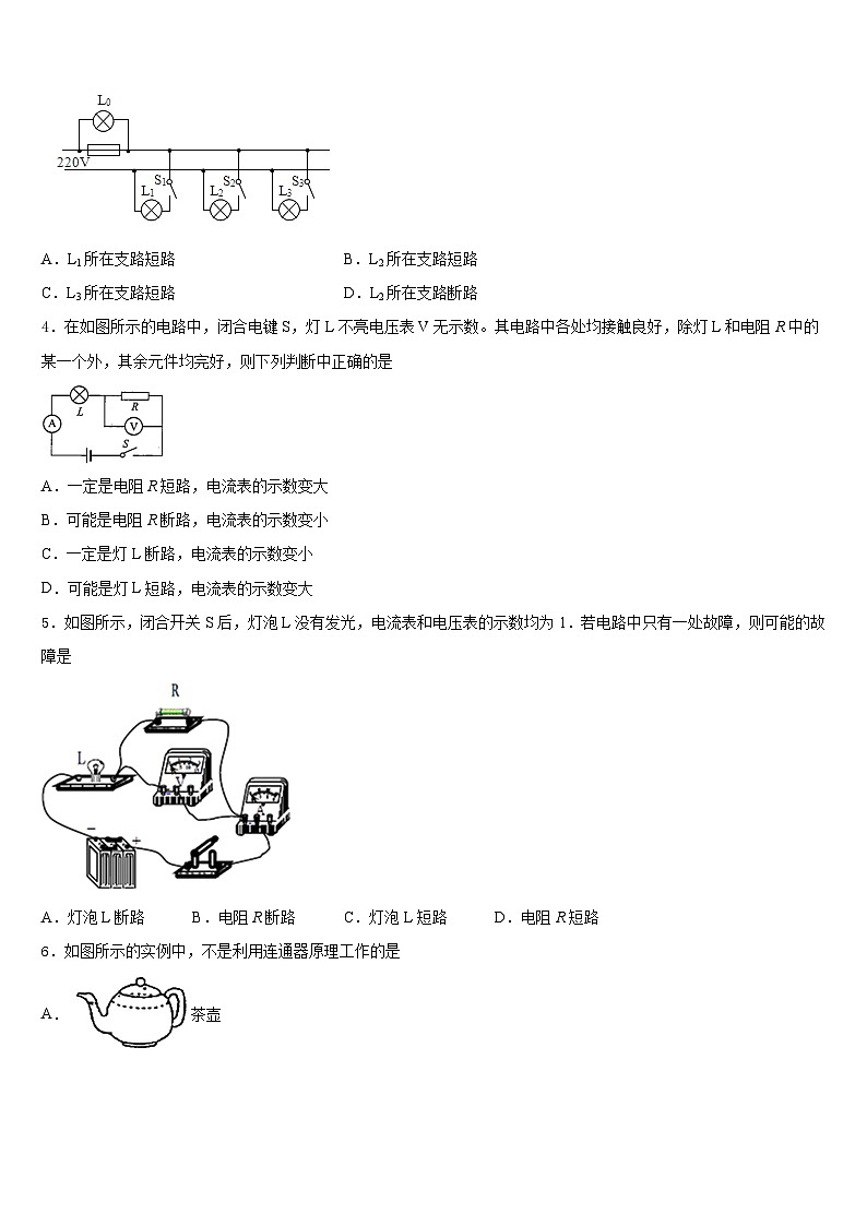 2023-2024学年贵州省黔西县九上物理期末达标检测模拟试题含答案02